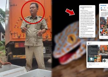 មហាជនជាច្រើនភ្ញាក់ផ្អើលនិងស្ទើរតែអស់សំណើចចំពោះករណីចាប់សត្វតុកកែ និងទារលុយ៣ម៉ឺនដុល្លារជាថ្នូរបិទសំណុំរឿង