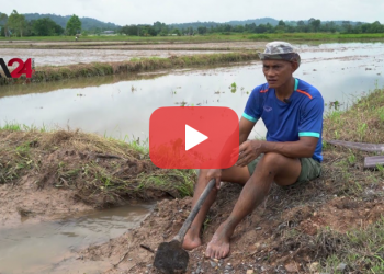 គម្រោងសាងសង់អាងស្តុកទឹកចំនួន ៧ នៅក្នុងឧទ្យានជាតិខៅយ៉ៃដែលជាតំបន់បេតិកភណ្ឌពិភពលោករបស់ប្រទេសថៃ