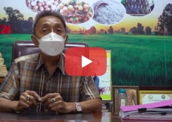 ថ្នាំសម្លាប់សត្វល្អិតនិងសារធាតុគីមី ធ្វើឲ្យ ប្រឡាយណាខនណៃណុកប្រែជាពណ៌លឿង