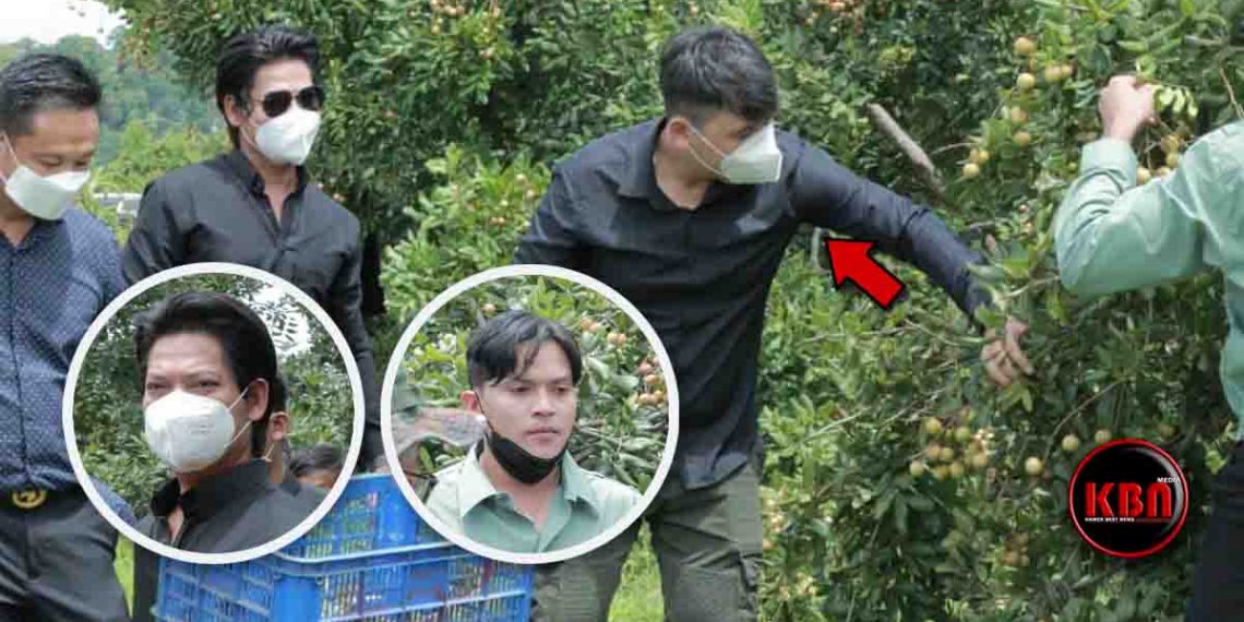 ពិតជាអស្ចារ្យមែន! តារាចម្រៀងល្បីជួរមុខទាំំងពីរដួងទៅជាមួយអ្នកឧកញ៉ា ឡេង ណាវ៉ាត្រា ប្រមូលទិញមៀនជួយកសិករ