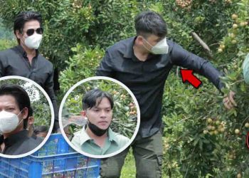 ពិតជាអស្ចារ្យមែន! តារាចម្រៀងល្បីជួរមុខទាំំងពីរដួងទៅជាមួយអ្នកឧកញ៉ា ឡេង ណាវ៉ាត្រា ប្រមូលទិញមៀនជួយកសិករ