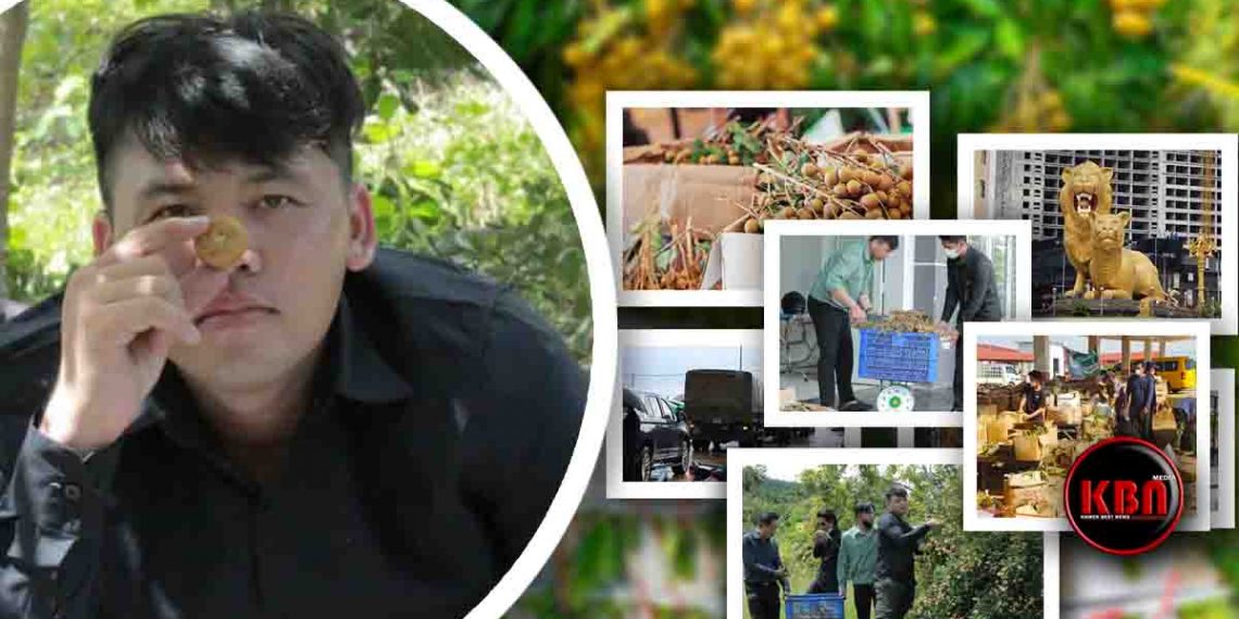 វិចារណកថា៖ វត្តមានអ្នកឧកញ៉ា ឡេង ណាវ៉ាត្រា ចុះផ្ទាល់ប្រមូលទិញផ្លែមៀនប៉ៃលិនបង្ហាញពីកាយវិការសប្បុរស