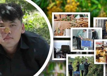 វិចារណកថា៖ វត្តមានអ្នកឧកញ៉ា ឡេង ណាវ៉ាត្រា ចុះផ្ទាល់ប្រមូលទិញផ្លែមៀនប៉ៃលិនបង្ហាញពីកាយវិការសប្បុរស