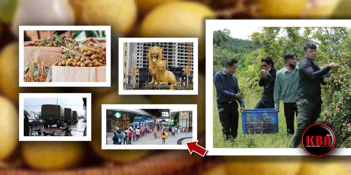 ពិតជាអស្ចារ្យមែន! មៀនប៉ៃលិនត្រឹមតែ១,៩០០រៀល ទៅដល់ក្រុងព្រះសីហនុហើយទីតាំងលក់នៅផ្សារហ្វូរិ ក្បែរវិមានឯករាជ្យ