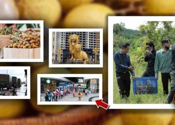 ពិតជាអស្ចារ្យមែន! មៀនប៉ៃលិនត្រឹមតែ១,៩០០រៀល ទៅដល់ក្រុងព្រះសីហនុហើយទីតាំងលក់នៅផ្សារហ្វូរិ ក្បែរវិមានឯករាជ្យ