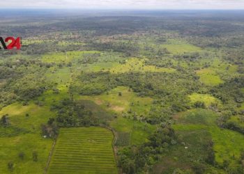 ទីភ្នាក់ងារជំនួយអាមេរិក USAID ផ្តល់ជំនួយដល់គម្រោងកសិកម្មនៅកម្ពុជា