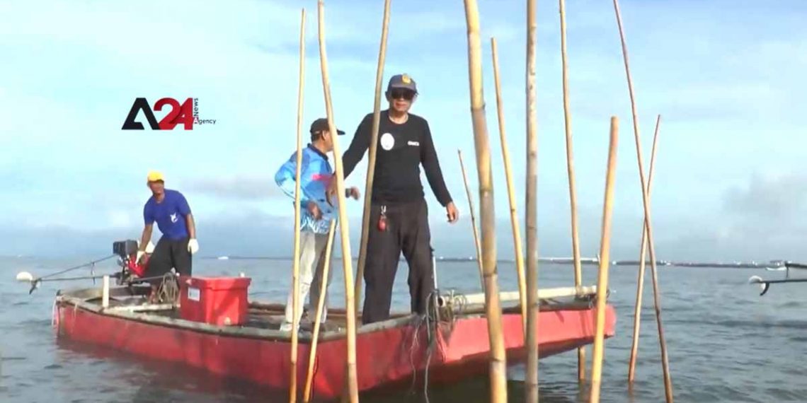 ថៃមានសាលាបង្រៀននេសាទក្នុងប្រទេស ដើម្បីទទួលបទពិសោធន៍ថ្មីៗ