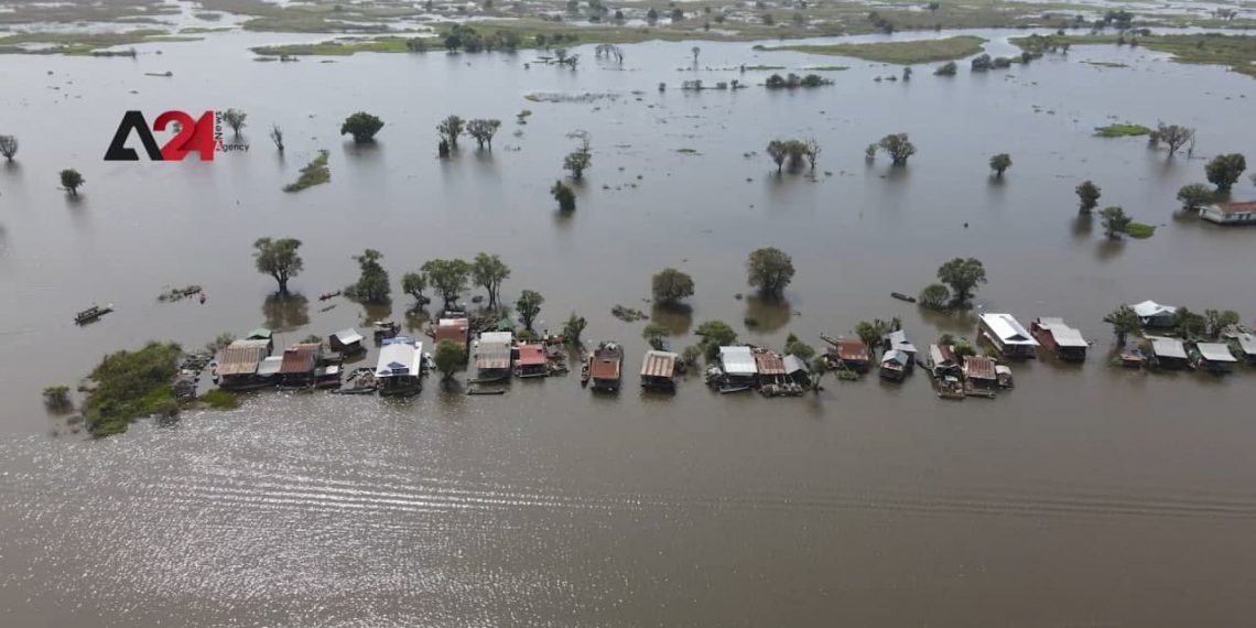 គម្រោងបរិស្ថានប្រមូលសំរាមពីដើមឈើដែលបន្សល់ទុកដោយទឹកជំនន់