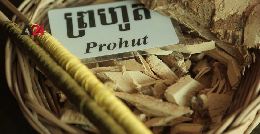 ដើមព្រហ៊ូតដែលប្រើសម្រាប់ជ្រលក់សូត្រក្នុងប្រទេសកម្ពុជាកំពុងរងគ្រោះផុតពូជ