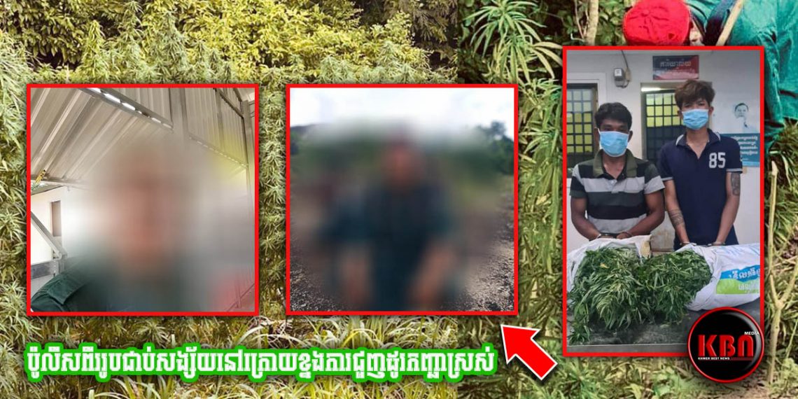 ក្រោយកងរាជអាវុធហត្ថខេត្តតាកែវបង្ក្រាបអ្នកដឹកញ្ឆាចំនួនពីរនាក់បានសម្រេច បែរជាបែកធ្លាយដំណឹងមានមន្ត្រីនគរបាលនៅពីក្រោយខ្នង