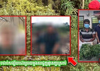 ក្រោយកងរាជអាវុធហត្ថខេត្តតាកែវបង្ក្រាបអ្នកដឹកញ្ឆាចំនួនពីរនាក់បានសម្រេច បែរជាបែកធ្លាយដំណឹងមានមន្ត្រីនគរបាលនៅពីក្រោយខ្នង