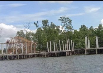 បែកធ្លាយអ្នករកស៊ីម្នាក់ប្រើឥទ្ធិពលឧកញ៉ាដ៏ល្បីឈ្មោះបំពានច្បាប់ចាក់ដីលុបសមុទ្រនិងសង់សំណង់រឹងមាំបំផ្លាញព្រៃកោងកាង