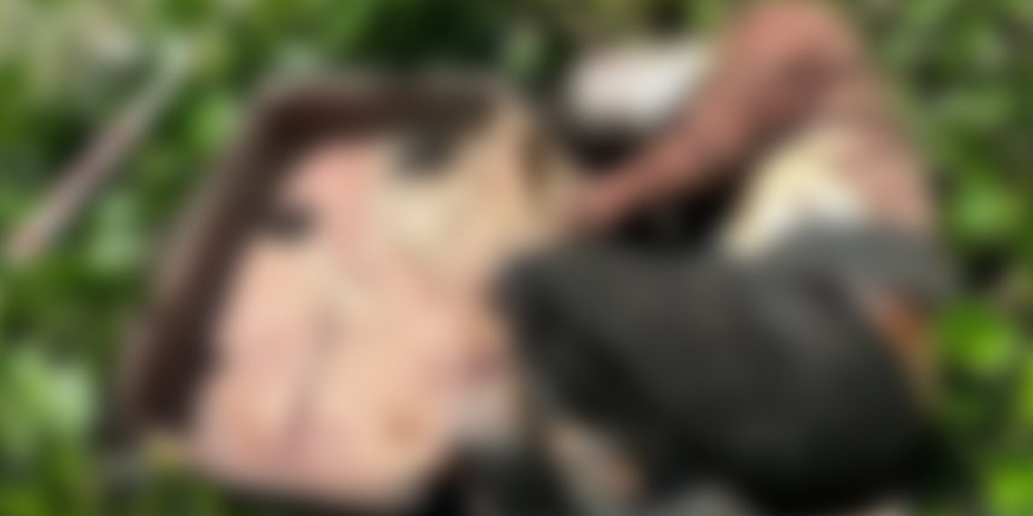 សាហាវព្រៃផ្សៃណាស់ សម្លាប់មនុស្សហើយញាត់ចូលវ៉ាលី ថែមបំផ្លាញ់មុខមាត់ជនរងគ្រោះ កុំមើលស្គាល់ទៀត (មានរូបភាពសពច្បាស់)