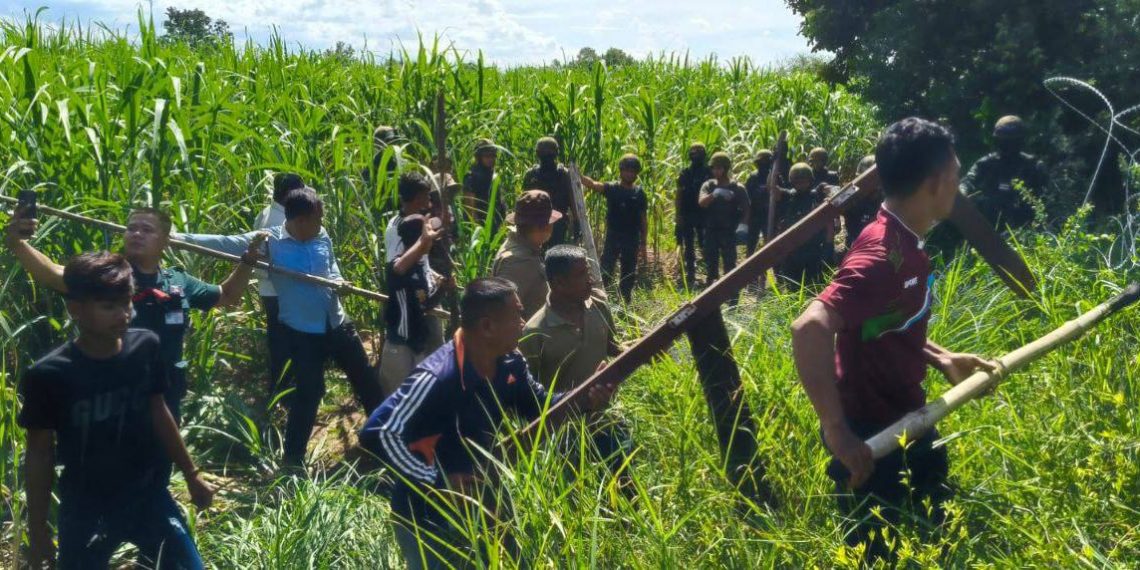 ខ្មែរមួយភូមិយកដំបងប្រុងសំពងក្បាលឆ្កែ ក្រោយឃើញមកទាំងហ្វូងរាយបន្លាលួសព័ន្ធប្លន់ ផ្ទះសម្បែង (មានវិឌីអូច្រើន)