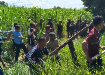 ខ្មែរមួយភូមិយកដំបងប្រុងសំពងក្បាលឆ្កែ ក្រោយឃើញមកទាំងហ្វូងរាយបន្លាលួសព័ន្ធប្លន់ ផ្ទះសម្បែង (មានវិឌីអូច្រើន)